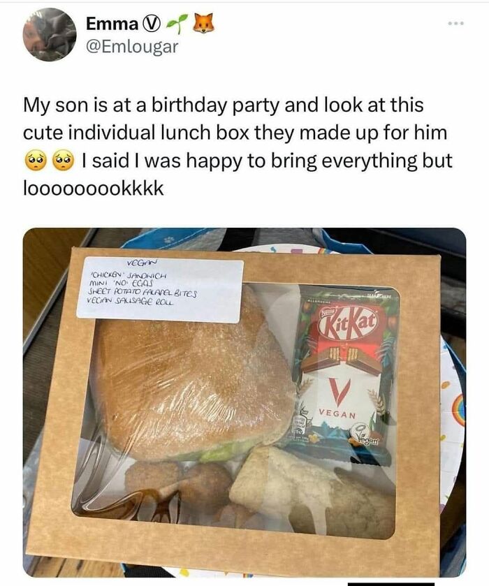 Screenshot of a wholesome vegan lunchbox prepared for a child at a birthday party, having someone's back online.