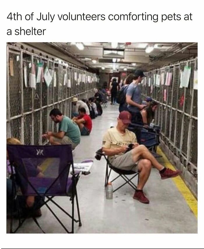 Volunteers sit in an animal shelter, comforting pets during 4th of July fireworks, showing someone else had their back.
