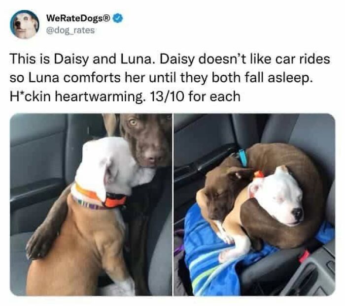 Screenshot of a wholesome post on Twitter, showing someone having someone else's back online.