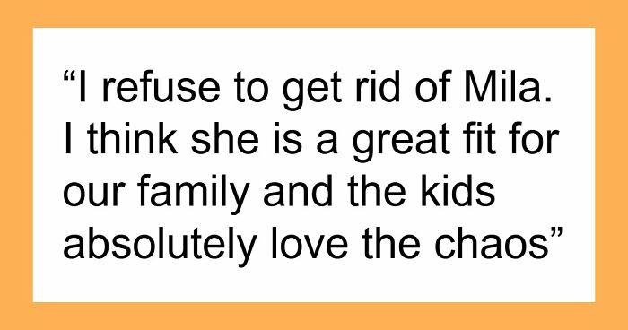 Husband Can’t Stand Chaotic Nanny, Can’t Believe How She Handles The Kids