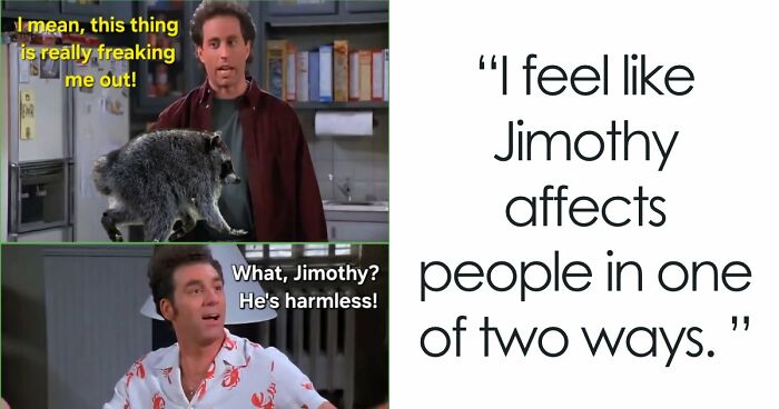 23 Memes That Capture The World’s Unhinged Obsession With An Unusually Shaped Raccoon Named “Jimothy”
