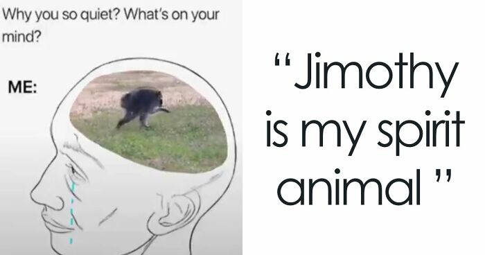 23 Memes That Capture The World’s Unhinged Obsession With An Unusually Shaped Raccoon Named “Jimothy”