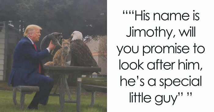 23 Memes That Capture The World’s Unhinged Obsession With An Unusually Shaped Raccoon Named “Jimothy”