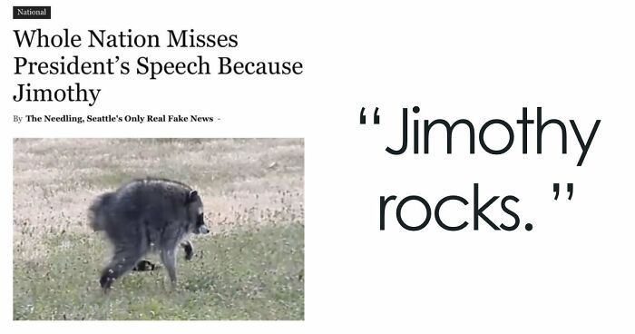 23 Memes That Capture The World’s Unhinged Obsession With An Unusually Shaped Raccoon Named “Jimothy”