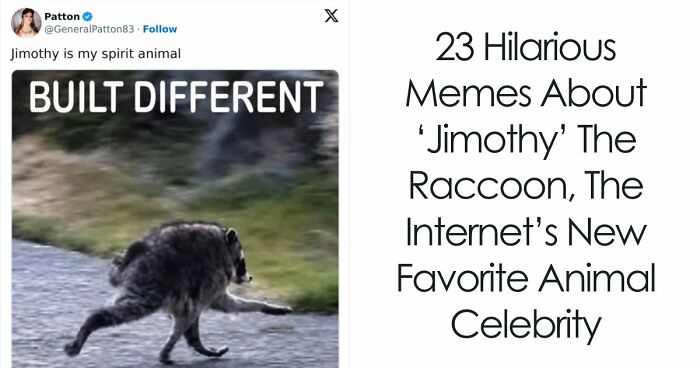 23 Memes That Capture The World’s Unhinged Obsession With An Unusually Shaped Raccoon Named “Jimothy”