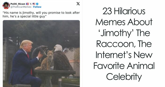 23 Memes That Capture The World’s Unhinged Obsession With An Unusually Shaped Raccoon Named “Jimothy”