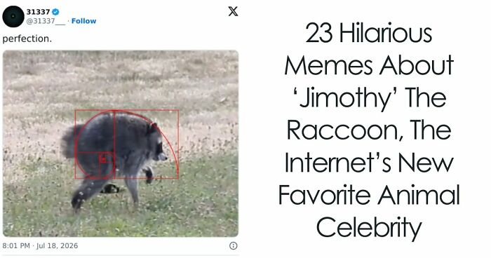 23 Memes That Capture The World’s Unhinged Obsession With An Unusually Shaped Raccoon Named “Jimothy”
