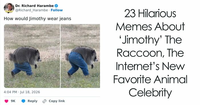 23 Memes That Capture The World’s Unhinged Obsession With An Unusually Shaped Raccoon Named “Jimothy”