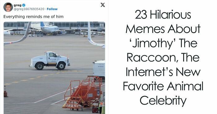 23 Memes That Capture The World’s Unhinged Obsession With An Unusually Shaped Raccoon Named “Jimothy”