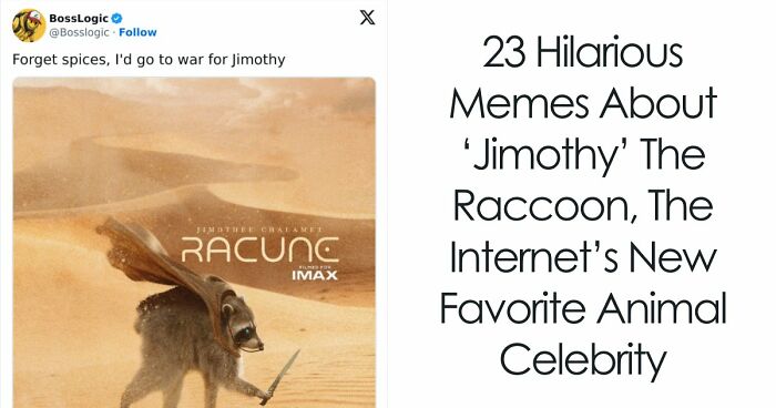 23 Memes That Capture The World’s Unhinged Obsession With An Unusually Shaped Raccoon Named “Jimothy”