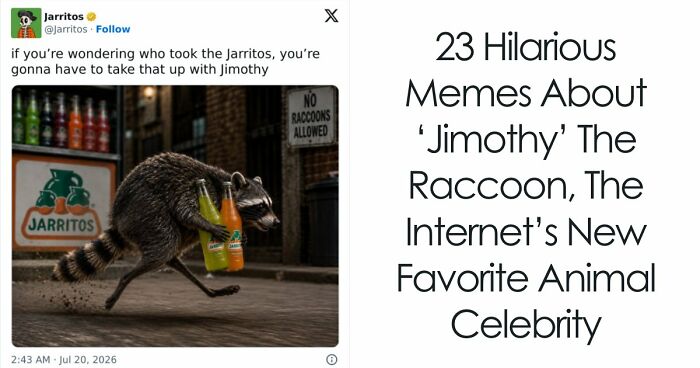 23 Memes That Capture The World’s Unhinged Obsession With An Unusually Shaped Raccoon Named “Jimothy”