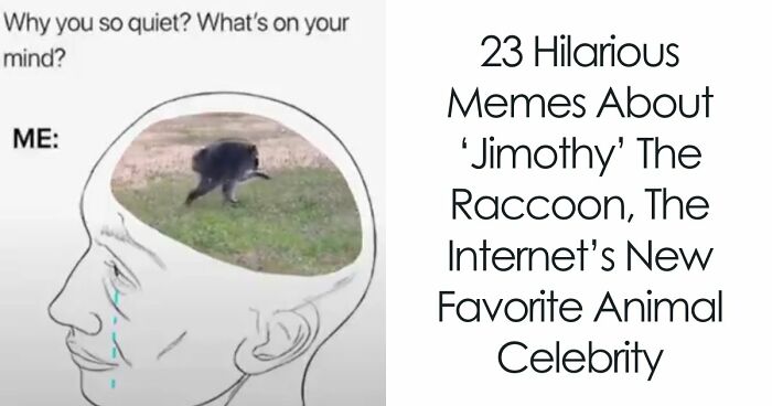 23 Memes That Capture The World’s Unhinged Obsession With An Unusually Shaped Raccoon Named “Jimothy”