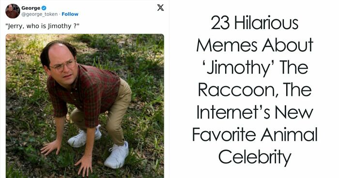 23 Memes That Capture The World’s Unhinged Obsession With An Unusually Shaped Raccoon Named “Jimothy”