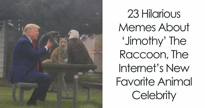 23 Memes That Capture The World’s Unhinged Obsession With An Unusually Shaped Raccoon Named “Jimothy”
