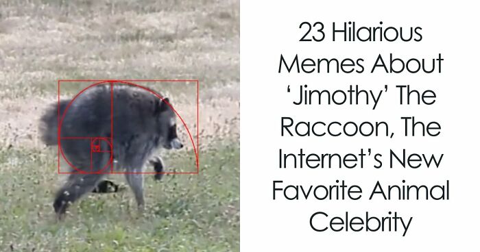 23 Memes That Capture The World’s Unhinged Obsession With An Unusually Shaped Raccoon Named “Jimothy”