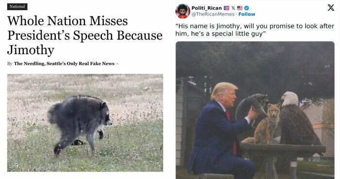 23 Memes That Capture The World’s Unhinged Obsession With An Unusually Shaped Raccoon Named “Jimothy”