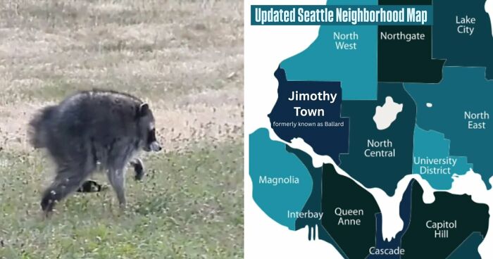 23 Memes That Capture The World’s Unhinged Obsession With An Unusually Shaped Raccoon Named “Jimothy”