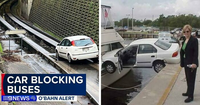 92 Pictures Of People Who Probably Shouldn’t Have A License: “Can’t Park There Mate”