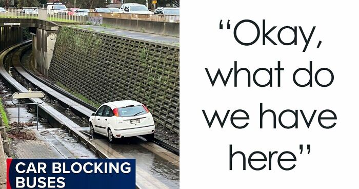 92 Pictures Of People Who Probably Shouldn’t Have A License: “Can’t Park There Mate”