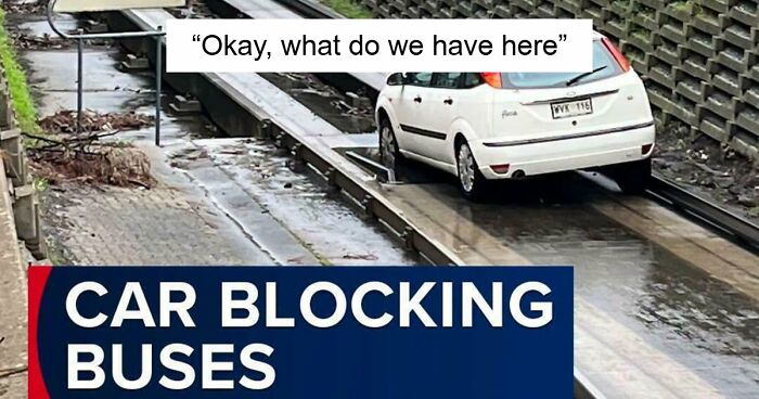 92 Pictures Of People Who Probably Shouldn’t Have A License: “Can’t Park There Mate”