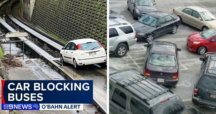 92 Pictures Of People Who Probably Shouldn’t Have A License: “Can’t Park There Mate”