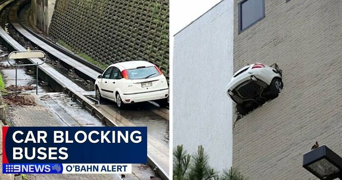 92 Pictures Of People Who Probably Shouldn’t Have A License: “Can’t Park There Mate”
