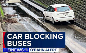 92 Pictures Of People Who Probably Shouldn't Have A License: 