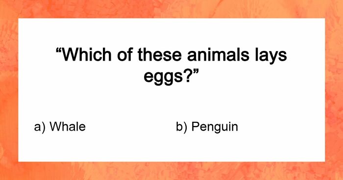 “Could You Win ‘Who Wants To Be A Millionaire’?”: Test Your Knowledge With 25 Questions