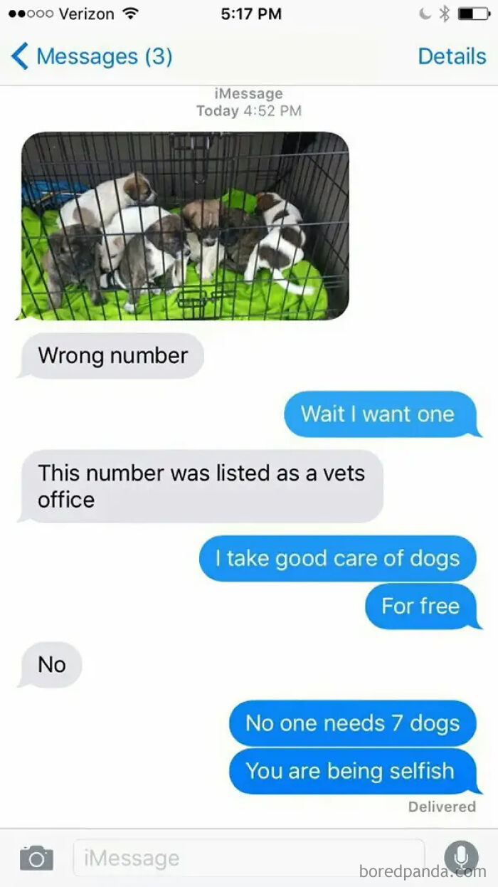 Hilarious wrong number texts: a person tries to convince another to give them a puppy from a litter.