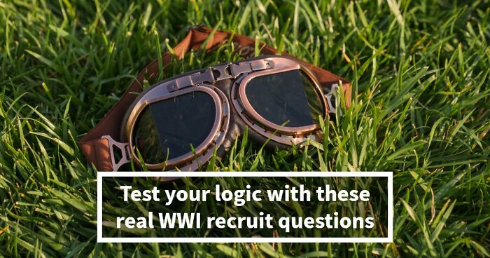 “Think You’d Pass A WWI Recruit Test?”: See How Far You Can Go With 20 Questions
