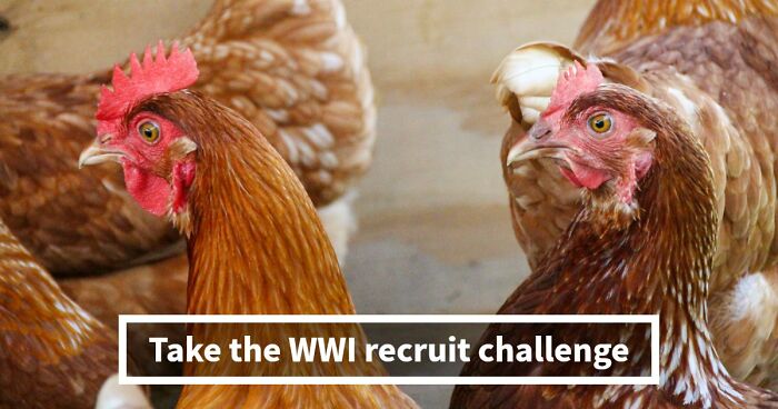 “Think You’d Pass A WWI Recruit Test?”: See How Far You Can Go With 20 Questions