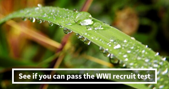 “Think You’d Pass A WWI Recruit Test?”: See How Far You Can Go With 20 Questions