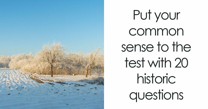 “Think You’d Pass A WWI Recruit Test?”: See How Far You Can Go With 20 Questions