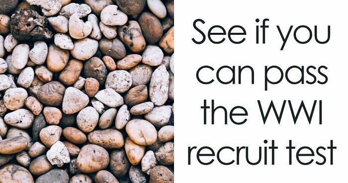 “Think You’d Pass A WWI Recruit Test?”: See How Far You Can Go With 20 Questions