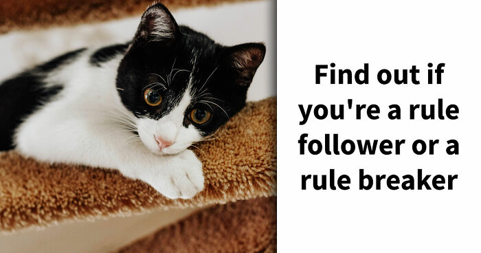 “Rules Are Only For The Weak”: 27 Questions That Reveal Whether You Actually Believe That