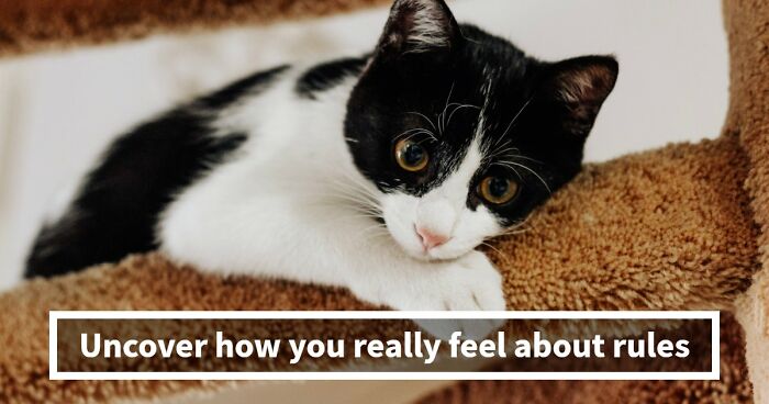 “Rules Are Only For The Weak”: 27 Questions That Reveal Whether You Actually Believe That