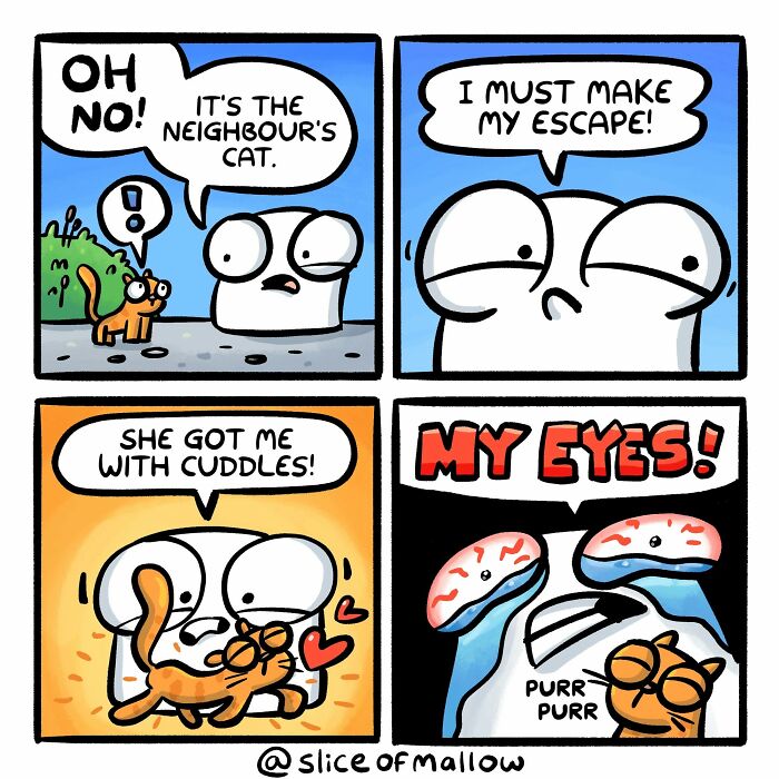 Humorous comics: a marshmallow tries to escape a neighbor's cat but gets caught in cuddles, leading to watery eyes.