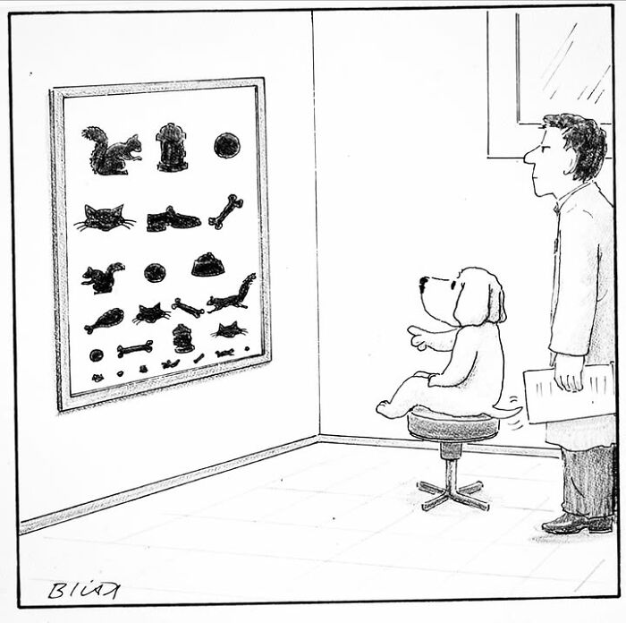 A Harry Bliss dog comic where a dog sits on a stool, pointing at an eye chart filled with objects like squirrels and bones.