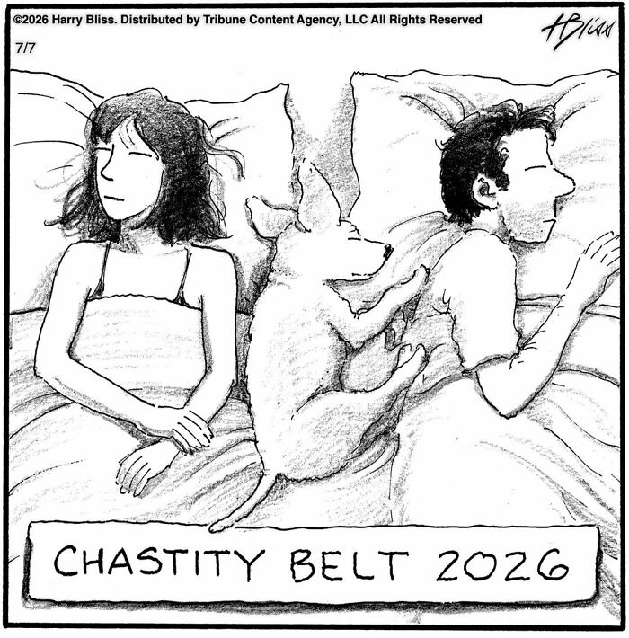 A Harry Bliss dog comic depicting a dog sleeping between a man and a woman in bed, captioned Chastity Belt 2026.