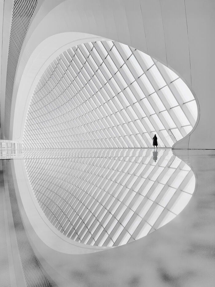 A figure stands in a vast, minimalist black and white architectural space with reflective floors, a Minimalist Photography Awards winner.