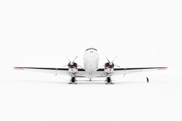 A small propeller plane on a pristine white surface, with a tiny penguin standing nearby, capturing an extraordinary minimalist scene.