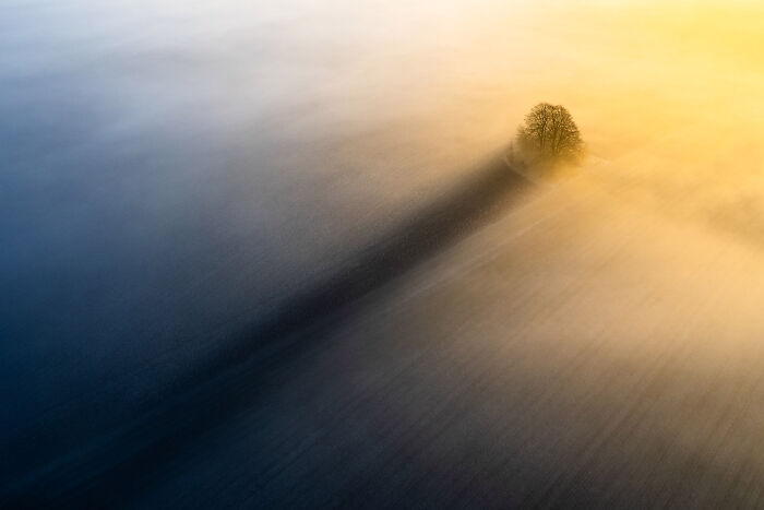 An aerial view of a lone tree casting a long shadow across a misty, color-graded field, exemplifying minimalist photography.