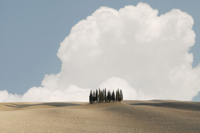 A serene landscape with a small cluster of trees under a large, dramatic cloud, showcasing minimalist photography.