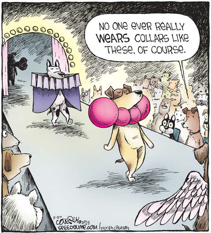 25 Hilarious ‘Speed Bump’ Comics That Prove Dogs Are Comedy Gold-Interview