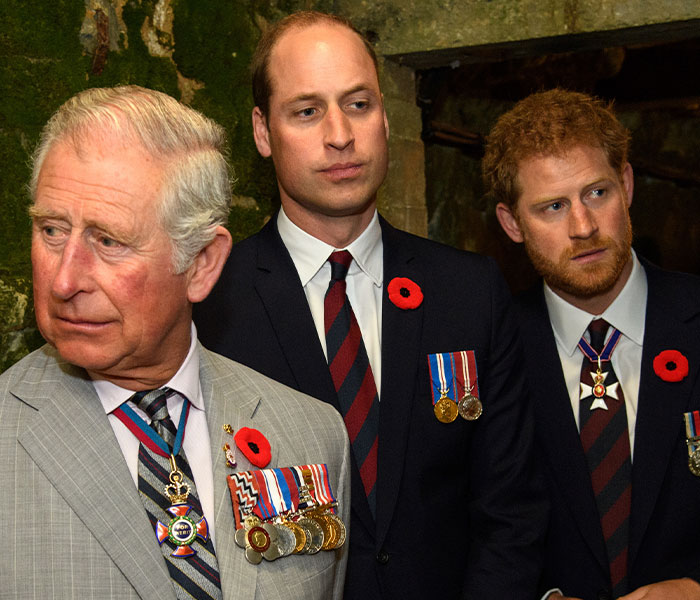 King Charles, Prince William, and Prince Harry stand together formally, hinting at underlying tension. King Charles, Prince William, and Prince Harry stand together formally, hinting at underlying tension.
