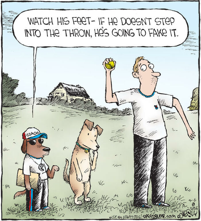 25 Hilarious ‘Speed Bump’ Comics That Prove Dogs Are Comedy Gold-Interview