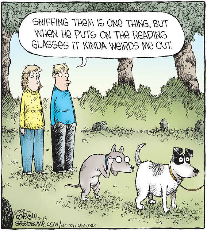 25 Hilarious ‘Speed Bump’ Comics That Prove Dogs Are Comedy Gold-Interview