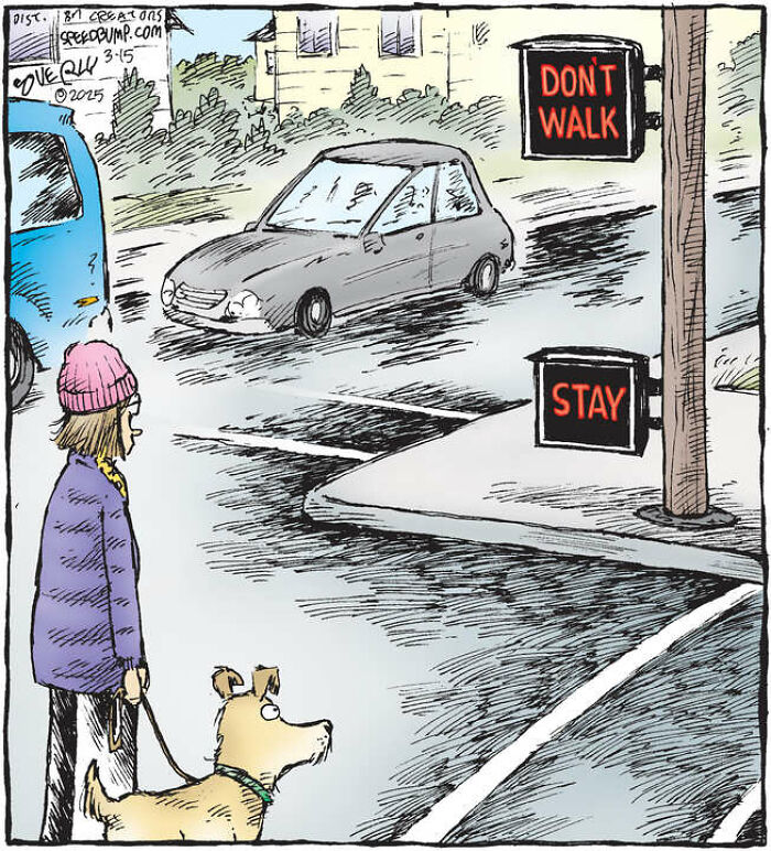25 Hilarious ‘Speed Bump’ Comics That Prove Dogs Are Comedy Gold-Interview