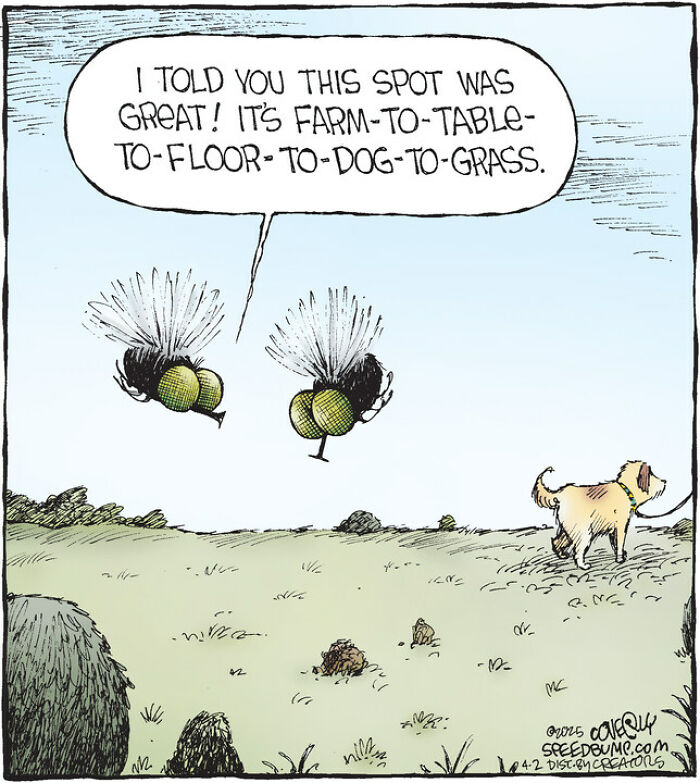 25 Hilarious ‘Speed Bump’ Comics That Prove Dogs Are Comedy Gold-Interview