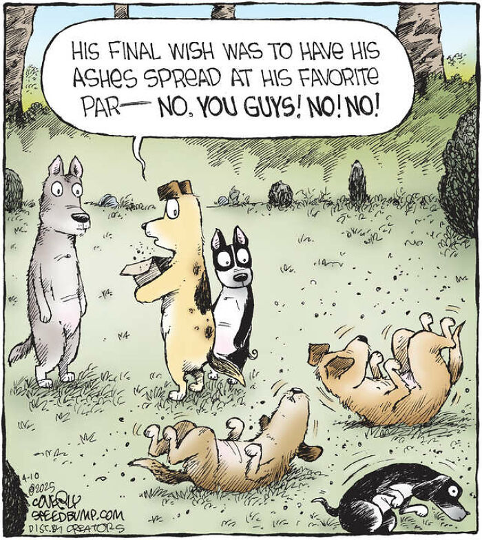 25 Hilarious ‘Speed Bump’ Comics That Prove Dogs Are Comedy Gold-Interview